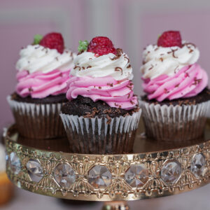 Chocolate Raspberry Cupcakes