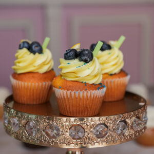 Blueberry Lemon Cupcakes